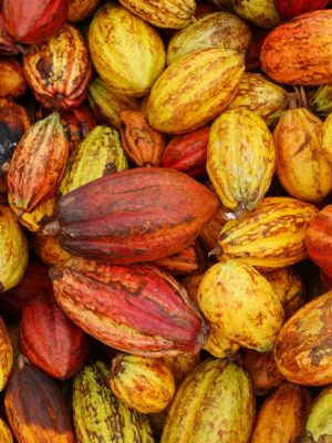 Alliance of entrepreneurs for sustainable coastal agriculture